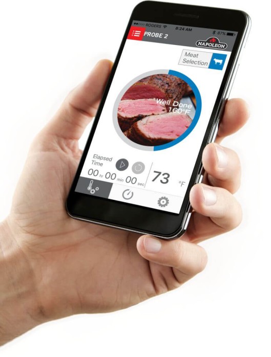 Napoleon 2-Teiliges Temperaturfühler-Set für ACCU-PROBE™ Bluetooth® Thermometer – Bild 4