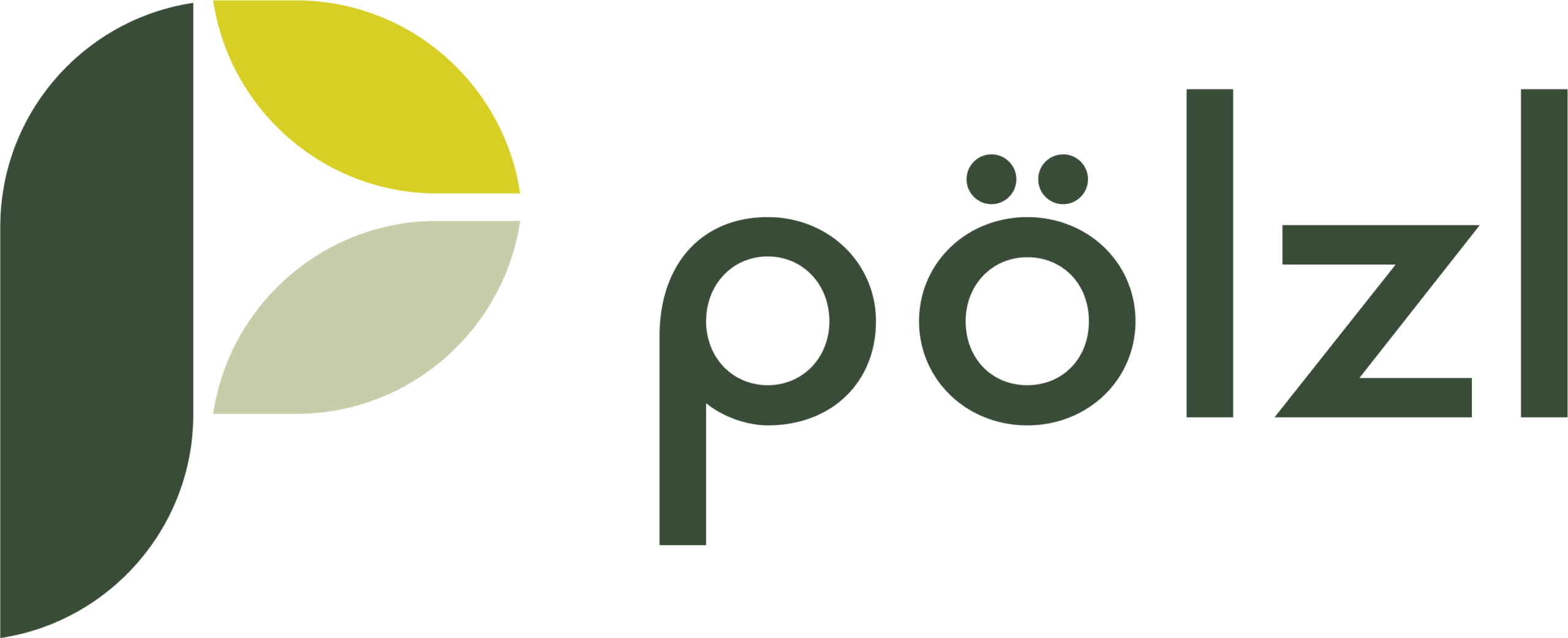 Pölzl Logo