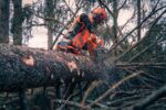Husqvarna Benzin-Kettensäge 592 XP 24" 60 cm – Bild 2