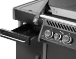 Napoleon Rogue® PRO Untergrill – Bild 10