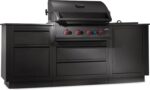 Napoleon Gasgrill OASIS® 106 Outdoor-Küche, 32-Zoll-Einbaugrill der 700er-Serie – Bild 5