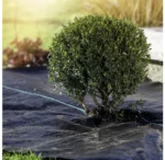 Windhager Unterboden-Gewebe PP 5 x 2 m, Schwarz, 100 g/m² – Bild 4