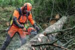 Husqvarna Benzin-Kettensäge 550 XP G Mark II 15'' *Ausstellungsstück* – Bild 2